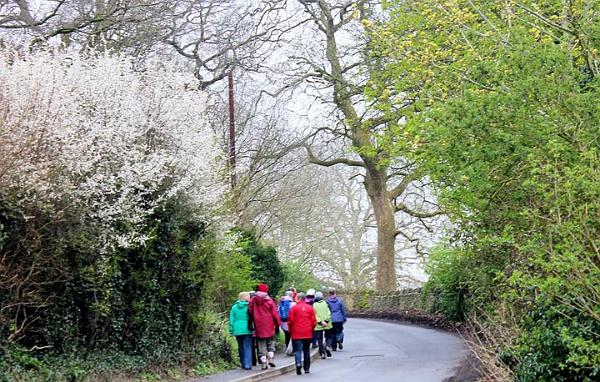 7 Jane and Mary led the walking group.jpg